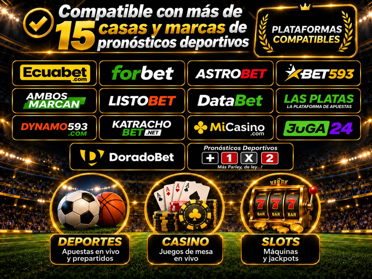 Plataforma de apuestas deportivas Riadbet