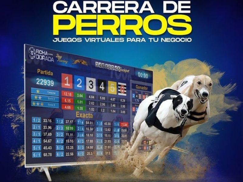 Imagen 1