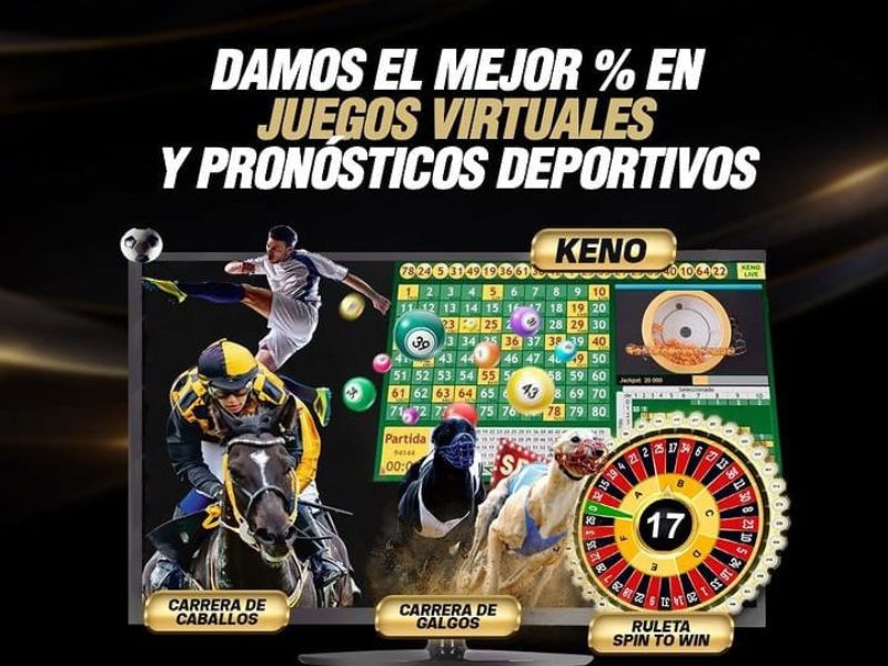 Imagen 2